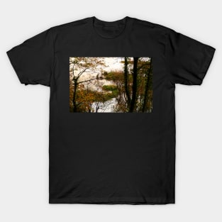 Autumn Trees In Water Logged Wetland T-Shirt